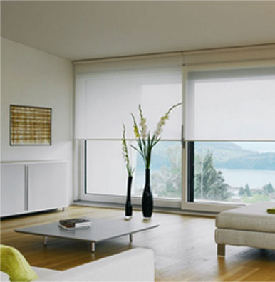Sunscreen blinds